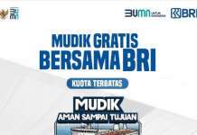 mudik gratis BRI 2025