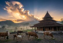 Khutbah Jumat: Mengetuk Pintu Langit dengan Pengorbanan