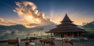 Khutbah Jumat: Mengetuk Pintu Langit dengan Pengorbanan
