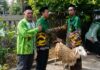 Jelang Idul Adha NU Ajibarang Salurkan Kambing Kurban di Desa Jingkang