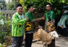 Jelang Idul Adha NU Ajibarang Salurkan Kambing Kurban di Desa Jingkang
