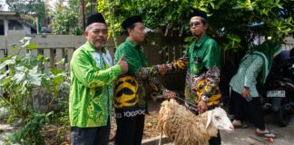 Jelang Idul Adha NU Ajibarang Salurkan Kambing Kurban di Desa Jingkang