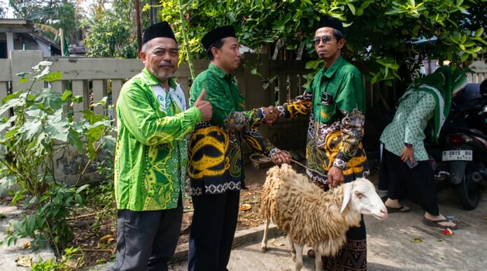 Jelang Idul Adha NU Ajibarang Salurkan Kambing Kurban di Desa Jingkang