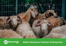 Khutbah Idul Adha 2026: Implementasi Nilai Kurban dalam Kehidupan