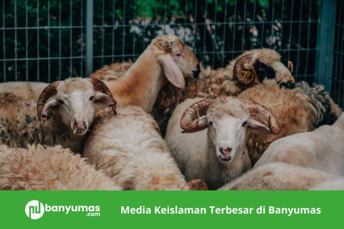 khutbah jumat nu banyumas (5) Khutbah Idul Adha 2026: Implementasi Nilai Kurban dalam Kehidupan