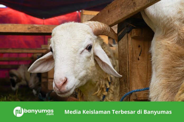 khutbah jumat nu banyumas (6) Khutbah Idul Adha 1447 H: Menjadi Ibrahim di Masa Kini