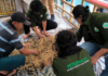 UNU Purwokerto Latih Kelompok Tani Mindajaya Pekuncen Produksi Pupuk Organik