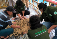 UNU Purwokerto Latih Kelompok Tani Mindajaya Pekuncen Produksi Pupuk Organik
