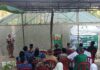 Baznas Banyumas dan GP Ansor Panen Melon Golden Aroma di Purwojati
